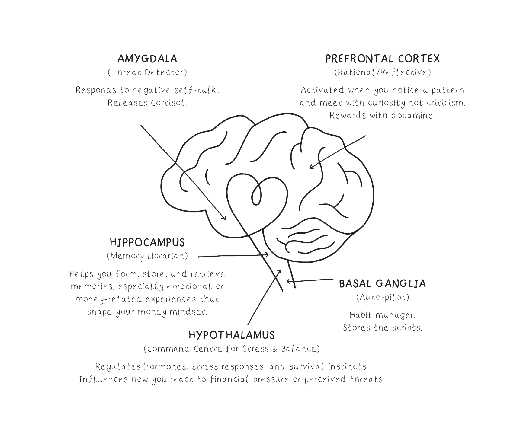 Neuroscience of Growth